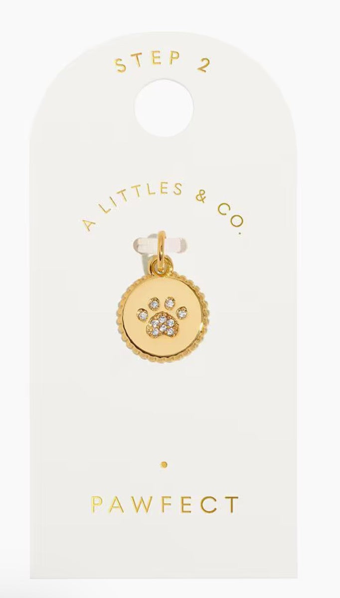 A Littles & Co. Gold Charm - Small Pawfect Coin
