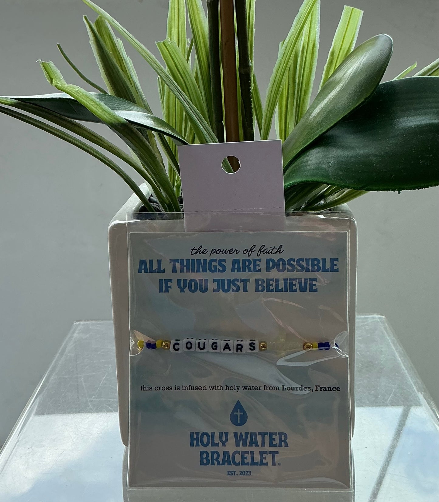 Holy Water Bracelet Valley View Cougars High School