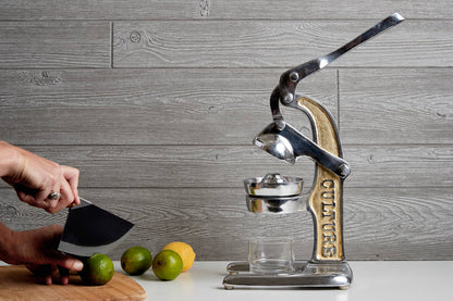 Citrus Juicer