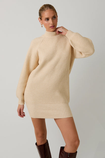 Mock Neck Cozy Sweater Dress | Soft Knit Mini