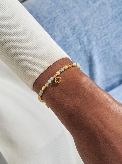 A Littles & Co. - Luck Bracelet