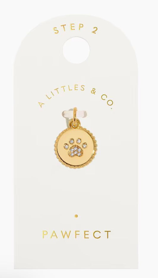 A Littles & Co. Gold Charm - Small Pawfect Coin