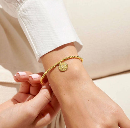 A Littles & Co. - A Little Aries Zodiac Sign Gold Bracelet