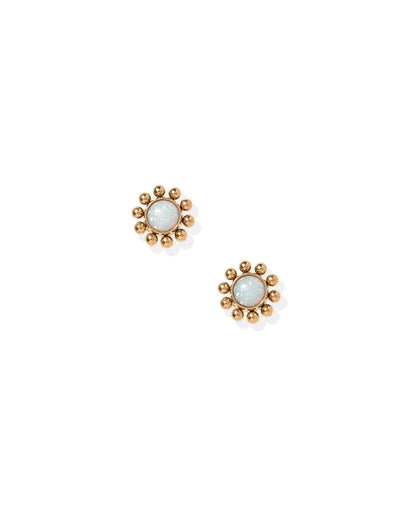 Linny Co Screwback Stud Earrings - Serena Opal