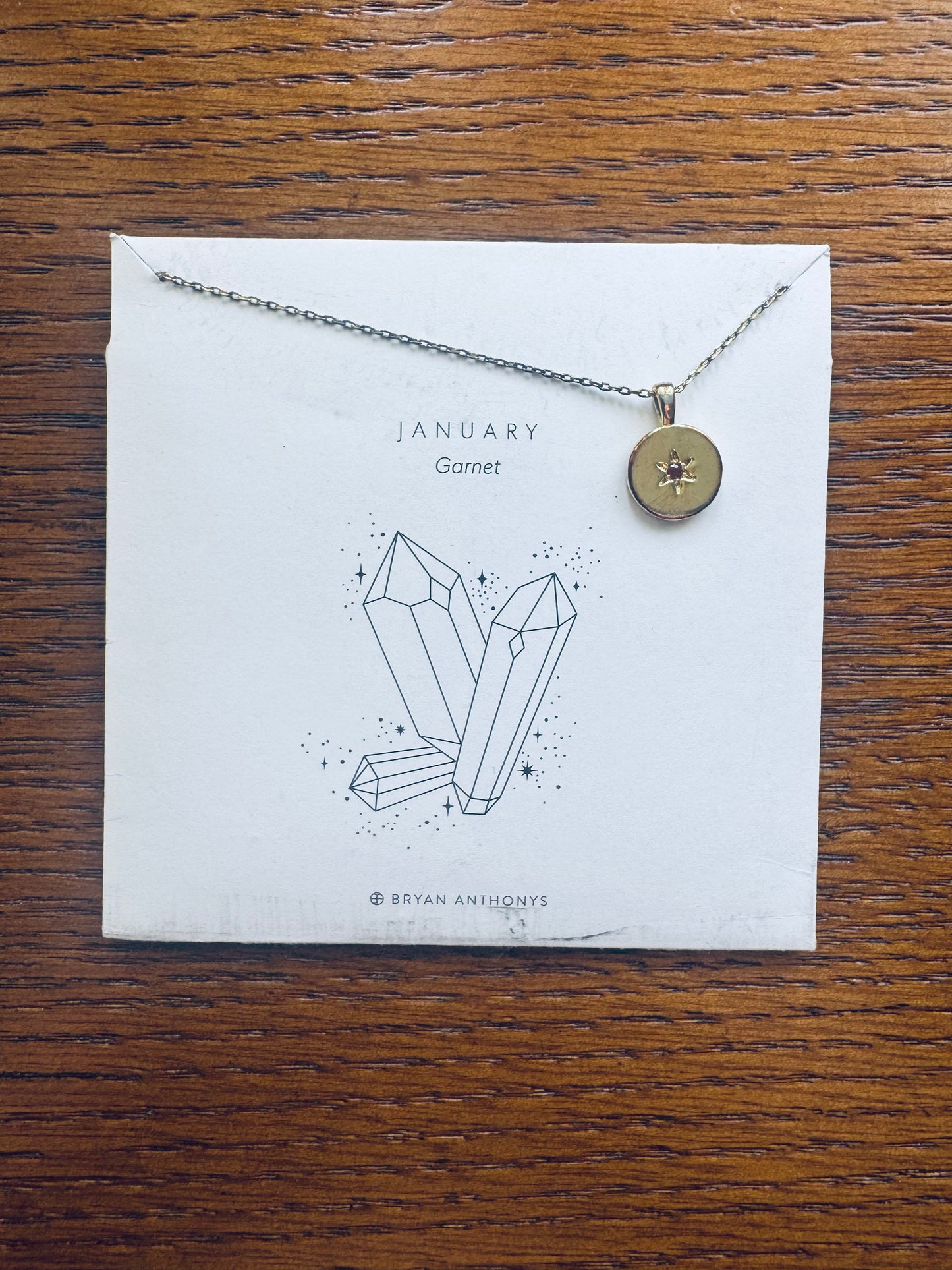 Bryan Anthonys Birthstone Necklace - January