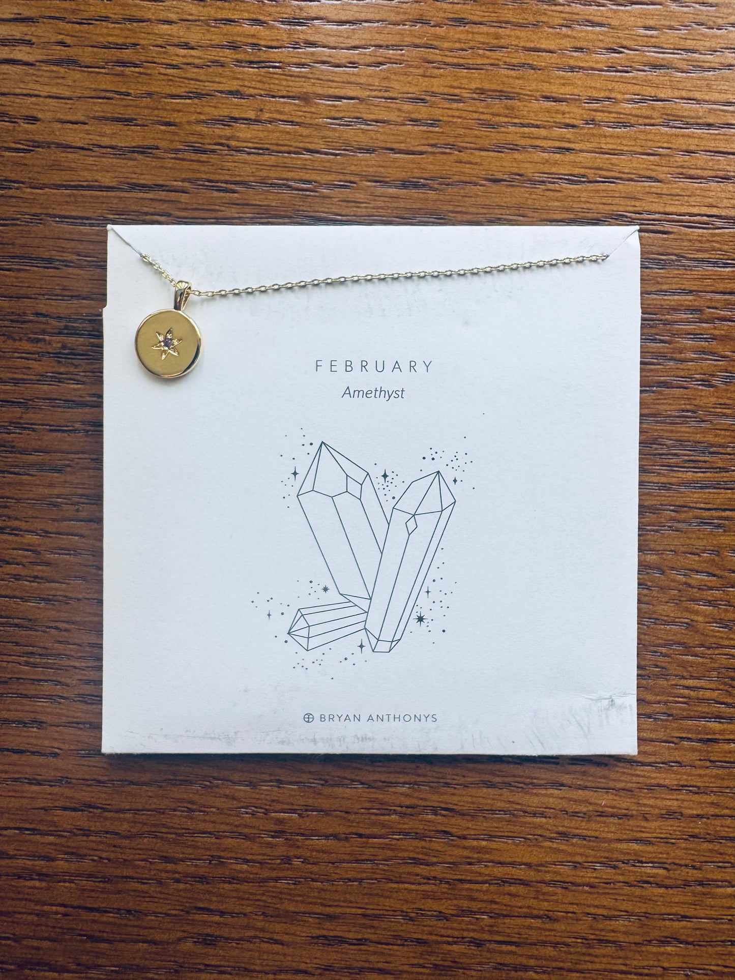 Bryan Anthonys Birthstone Necklace - February
