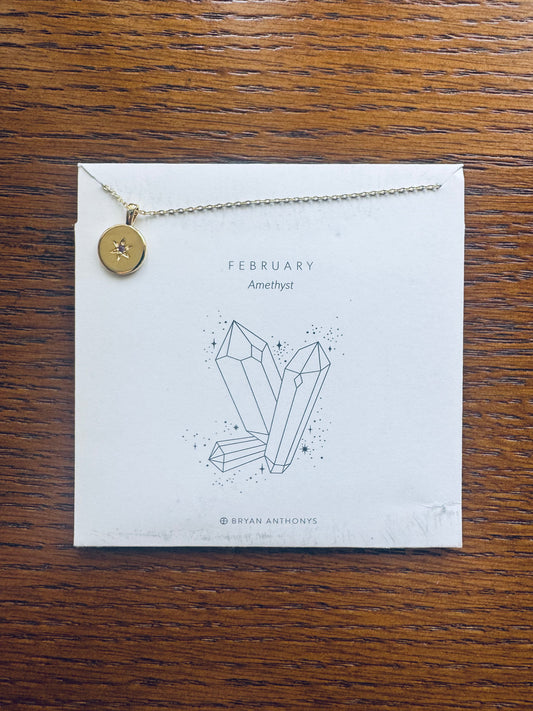 Bryan Anthonys Birthstone Necklace - February